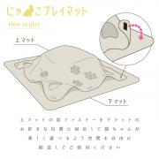 sdnp-001_howto