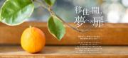 「マドリーム」Vol.61：移住で開け！夢への扉